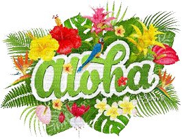 soave text summer animated deco flowers tropical - Gratis animerad GIF