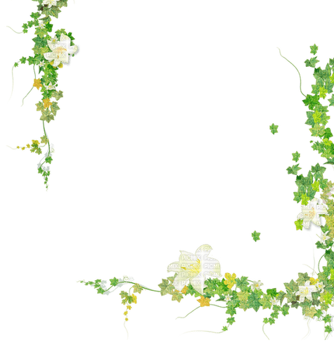 Green white flowers leaves deco [Basilslament] - Free PNG