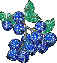 blueberries - Bezmaksas animēts GIF