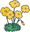 flowers gif katrin - Besplatni animirani GIF