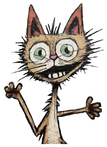 nbl-cat - Darmowy animowany GIF