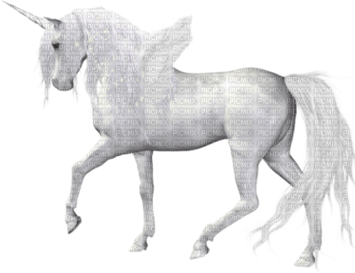 cecily-belle licorne blanche - безплатен png