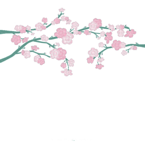 cherry blossom tree Bb2 - 無料png