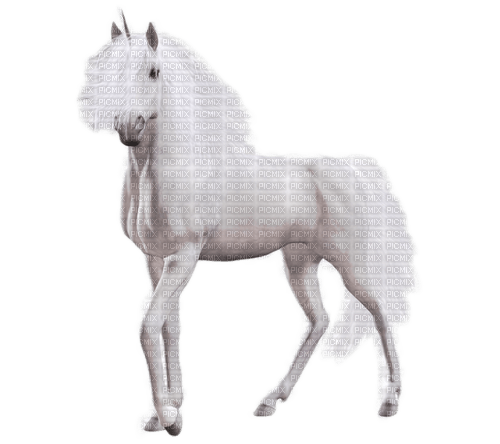 einhorn unicorn milla1959 - Free PNG