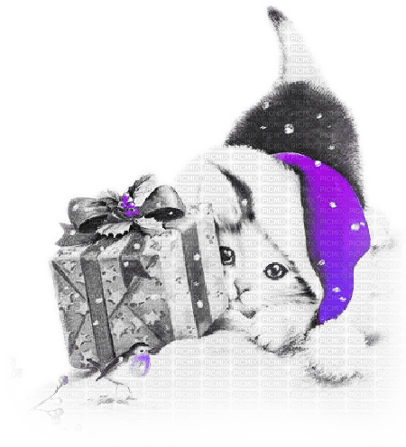 soave animals cat christmas winter gift box - png ฟรี