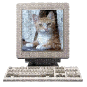 chat dans un ordinateur - GIF animé gratuit