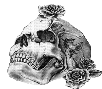 Gothic skull by nataliplus - kostenlos png