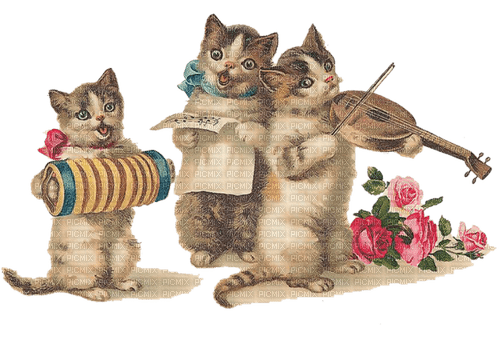 pascua  gatos dubravka4 - ücretsiz png