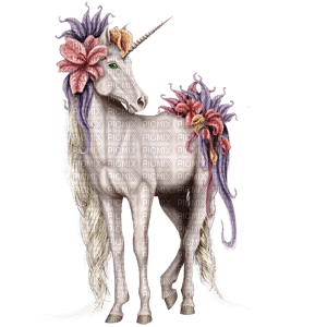 unicorn bp - ücretsiz png