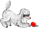 chien - Darmowy animowany GIF