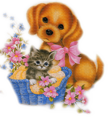 loly33 chiot chaton - Free PNG