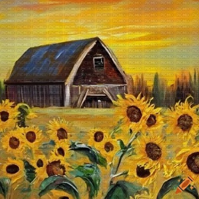 Yellow Sunflower Field & Barn - png gratis