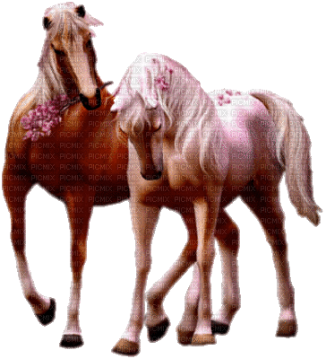 chevaux - Nemokamas animacinis gif