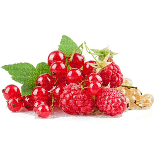 red berries Bb2 - Free PNG