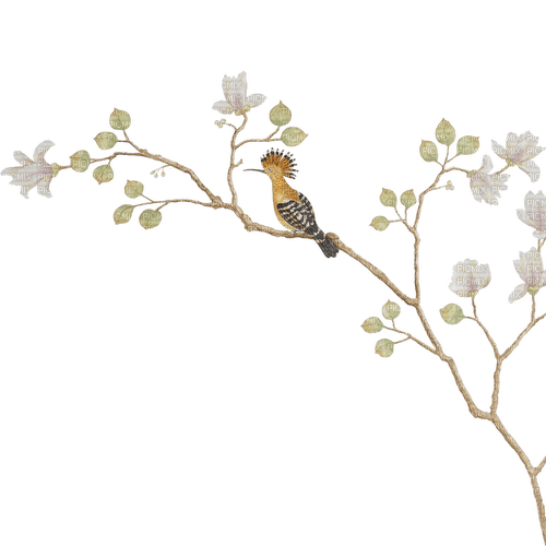Vogel auf Baum - фрее пнг