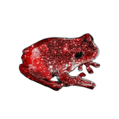 Red Sparkle Frog - gratis png
