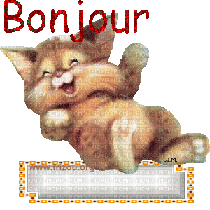 CHATON BONJOUR - 無料のアニメーション GIF