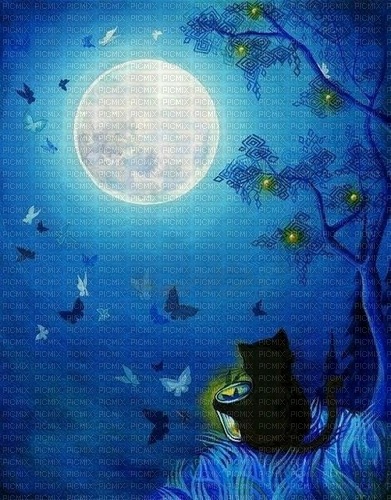 Cat Night - PNG gratuit