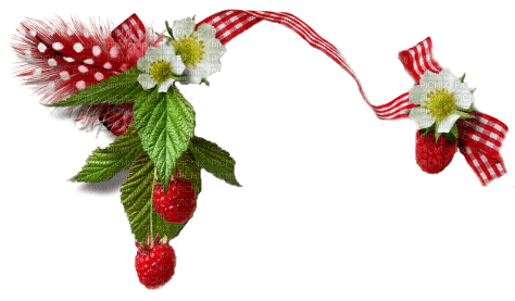 kikkapink deco border strawberry - zadarmo png