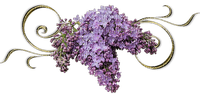 Déco lilas - png grátis