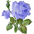 blue roses - Безплатен анимиран GIF