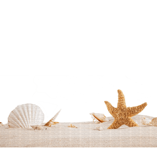 Kaz_Creations Sea-Shells-Sand - 免费PNG