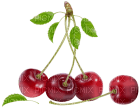 Kaz_Creations Fruits - zdarma png