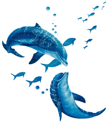 delfines - фрее пнг