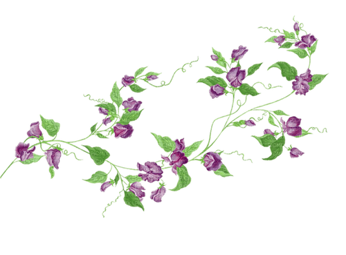 blomma--flower--purple--lila - ilmainen png