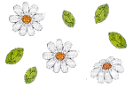 Falling Flowers Daisies - Besplatni animirani GIF