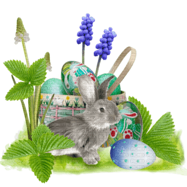 easter bunny - png ฟรี