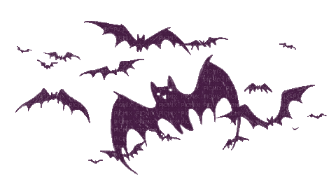 Bats - GIF animé gratuit