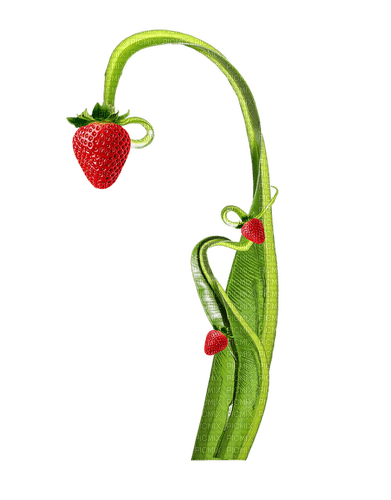 Strawberries.Red.Green - 免费PNG