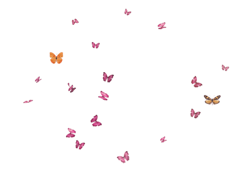 ✶ Butterflies {by Merishy} ✶ - zdarma png