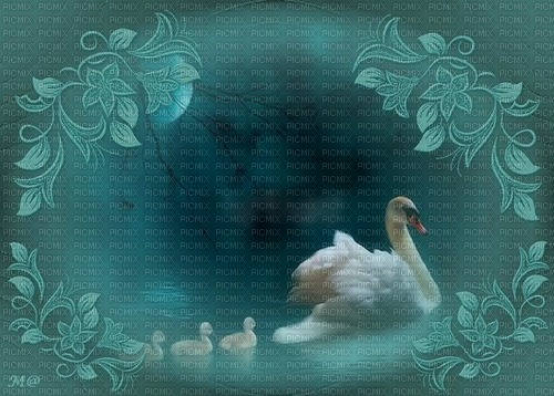 bg turkos-svanar--background-turquoise-swans - nemokama png