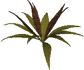 Plante - Бесплатный анимированный гифка