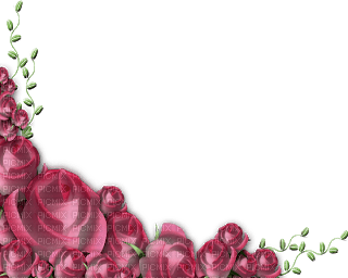 Roses - ilmainen png