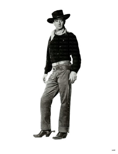 Cowboy (John Wayne) - png ฟรี