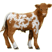 Vaca by estrellacristal - PNG gratuit