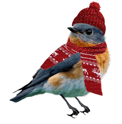 Kaz_Creations Christmas Deco Birds Bird - Free PNG