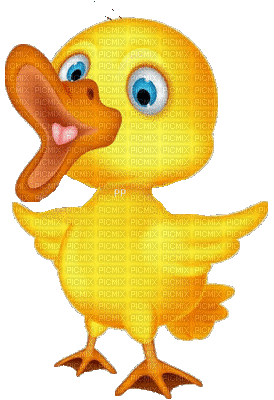 duck gif canard - Free animated GIF - PicMix