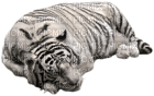 Kaz_Creations Animals Tiger - nemokama png