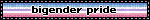bigender pride - GIF animé gratuit