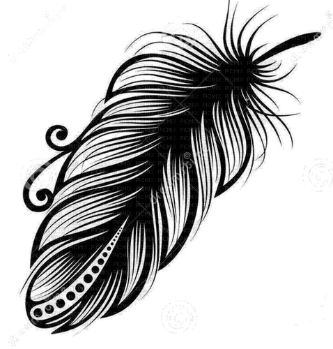 feather 2 - gratis png