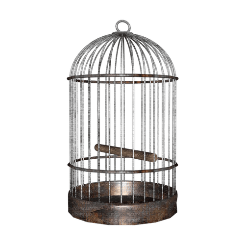 kikkapink deco scrap birdcage - PNG gratuit