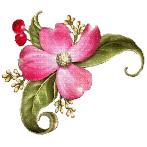 flower-pink - png gratuito