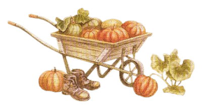 Autumn Pumpkins - PNG gratuit