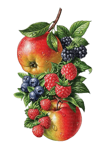 Obst, Beeren - png grátis