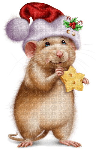 Ratón con estrella de queso - PNG gratuit