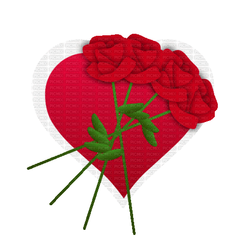 heart & roses - Gratis animeret GIF